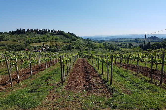 From Rome: San Gimignano, Siena, Chianti Winery Visit and Lunch - Cancellation Policy