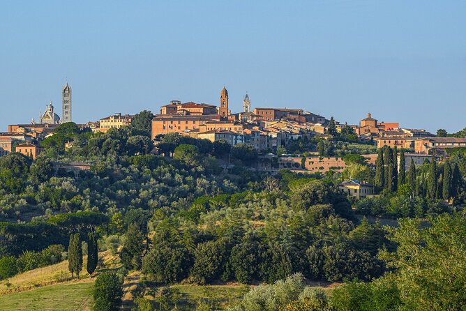 From Rome: San Gimignano, Siena, Chianti Winery Visit and Lunch - San Gimignano