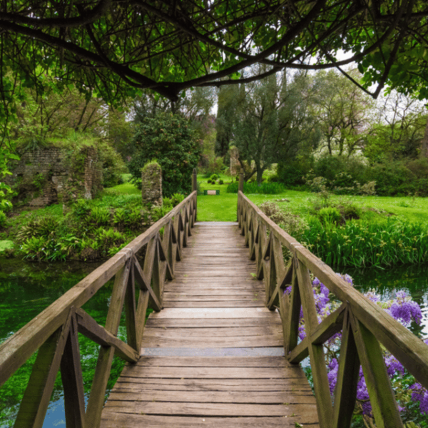 From Rome: Semi-Private Tour Sermoneta and Gardens of Ninfa - Seasonal Considerations