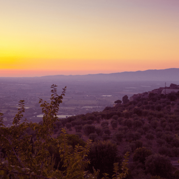 From Rome: Semi-Private Tour Sermoneta and Gardens of Ninfa - Local Cuisine in Sermoneta