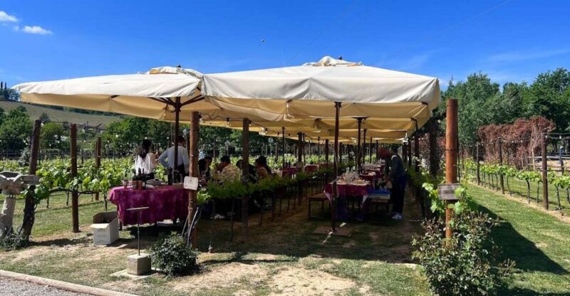 From Rome: Siena and S. Gimignano, Tuscany Wine One Day Tour - From Rome: Siena and San Gimignano, Tuscany Wine One Day Tour — A Detailed Review