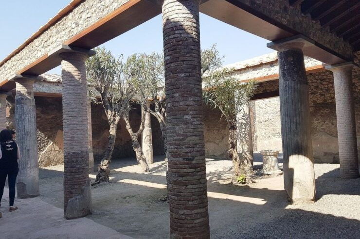 From Rome: Small-Group Pompeii & Naples Day Tour With Lunch - Tour Details