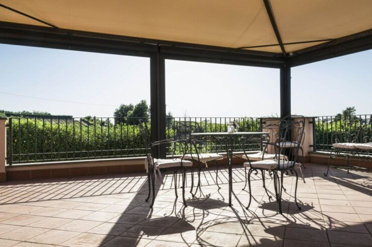 From Rome: Tasting Tour in Cellar Immersed Between Vineyards - Experience Highlights