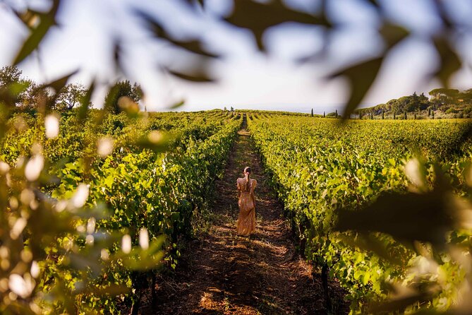 From Rome to the Castles: Private 3-Hour Wine Tasting Tour - Good To Know