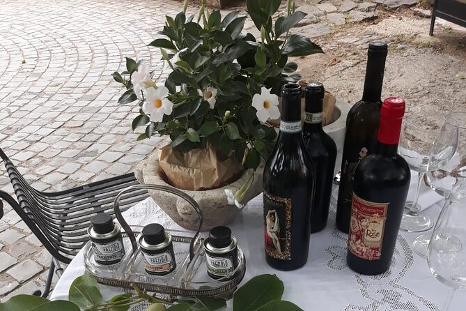 From Rome to the Castles: Private 3-Hour Wine Tasting Tour - Operator Information
