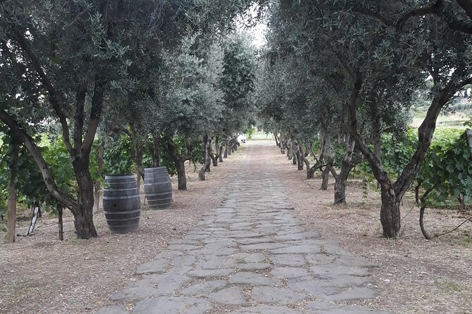 From Rome to the Castles: Private 3-Hour Wine Tasting Tour - Confirmation and Accessibility