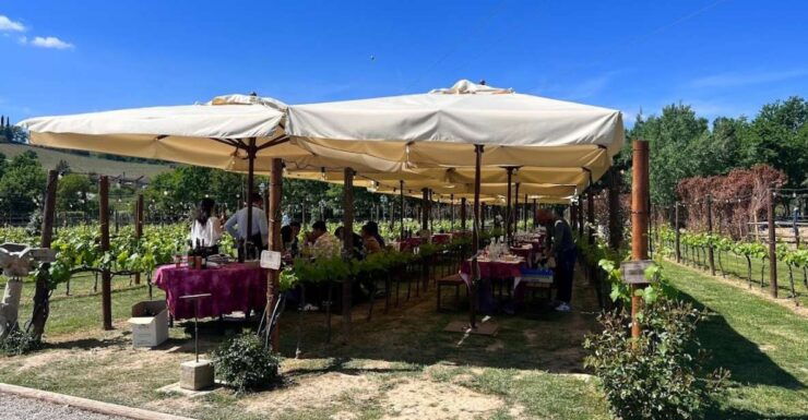 From Rome: Tuscany Full Day Wine Tasting Tour, Small Group - Itinerary