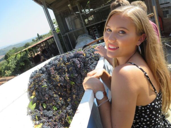 From Rome: Tuscany & Siena With Wine Tasting and Lunch - The Sum Up