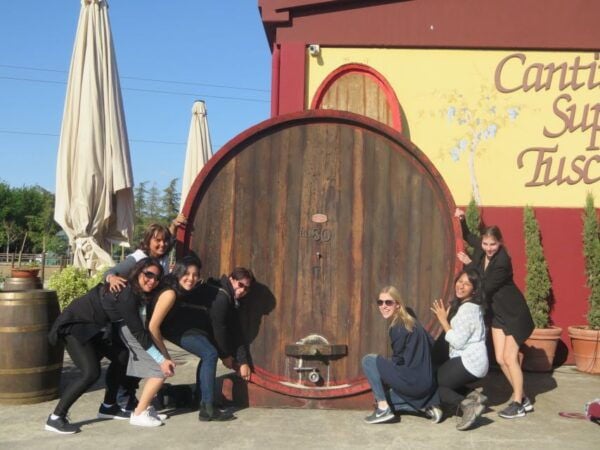 From Rome: Tuscany Wine Tour & San Gimignano - The Sum Up