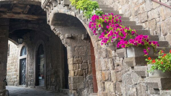 From Rome: Viterbo, Day Tour With Private Transfer! - Directions for the Day Tour