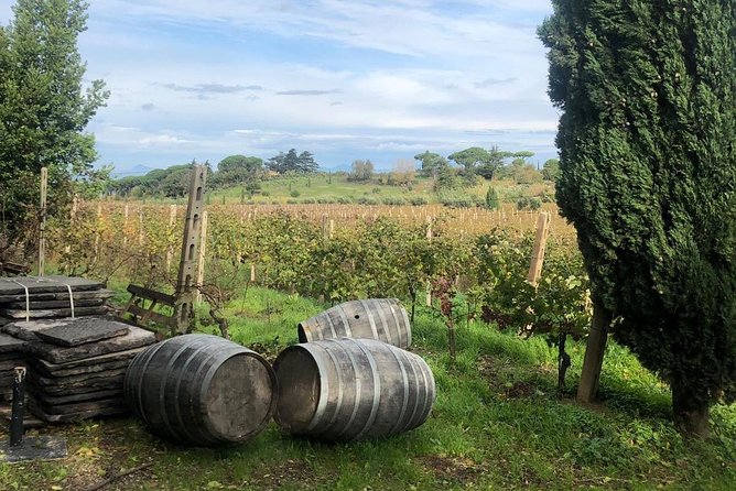 From Rome: Wine Tasting and Tivoli - Private Tour - Tour Start Time