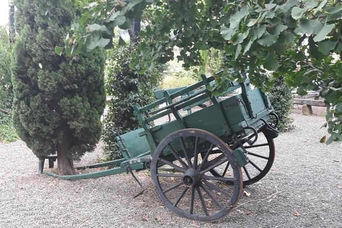 From Rome: Wine Tasting and Tivoli - Private Tour - Additional Information