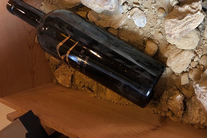 From Rome Wine Tasting in Tuscany - Tour Overview