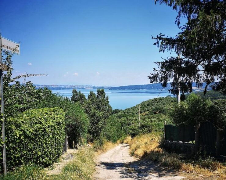 From Rome:Private Day Trip to Bracciano, Caprarola & Viterbo - Tour Details