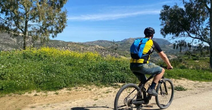 From Ronda: via Verde De La Sierra Cycle Tour - Easy 21KM - Itinerary