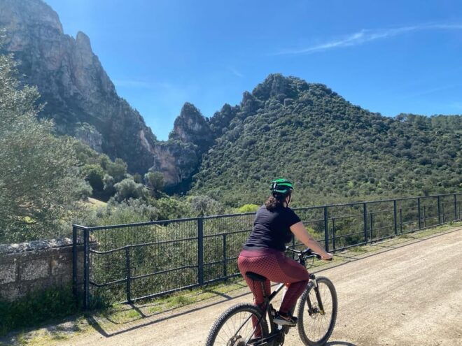 From Ronda: via Verde De La Sierra Easy Cycling Tour - Inclusions and Amenities