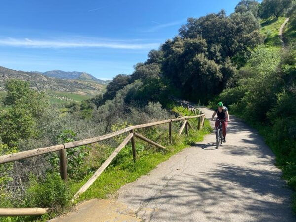 From Ronda: via Verde De La Sierra Easy Cycling Tour - What to Bring and Guide Support