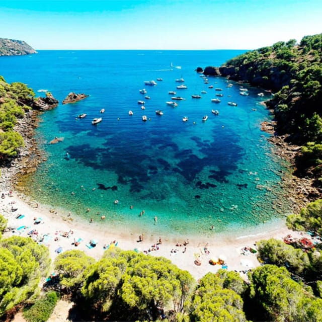 From Roses: Cap Norfeu and Tamariu Cave Boat Tour - Experience Highlights