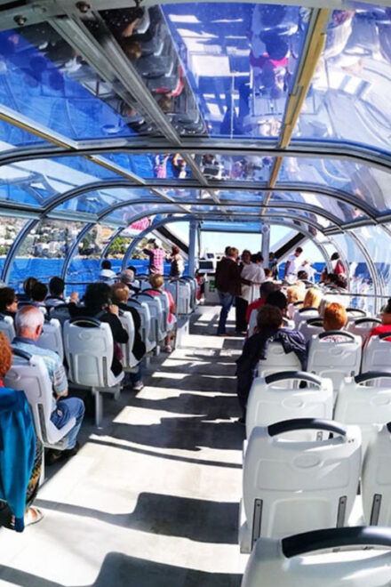 From Roses: Cap Norfeu and Tamariu Cave Boat Tour - Tour Details