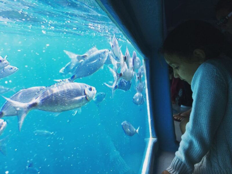 From Roses: Cap Norfeu Boat Cruise & Swimming - Boarding the Aquarium II