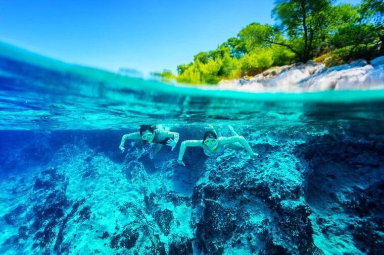 From Roses: Cap Norfeu Boat Cruise & Swimming - Exploring the Seabeds Hidden Wonders