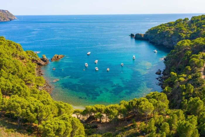 From Roses: Cap Norfeu Boat Cruise & Swimming - Frequently Asked Questions
