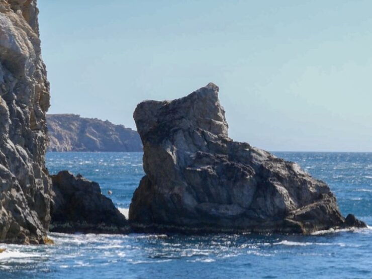 From Roses: Cap Norfeu Boat Cruise & Swimming - Experience Highlights of the Activity