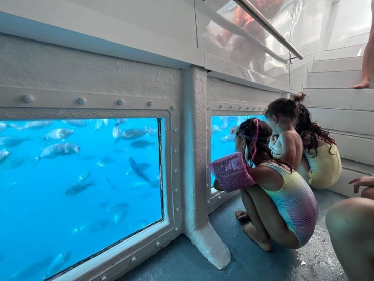 From Roses: Cap Norfeu Glass Bottom Boat Tour & Tamariu Cave - Experience Highlights