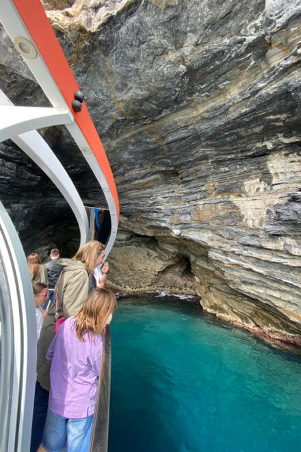 From Roses: Cap Norfeu Glass Bottom Boat Tour & Tamariu Cave - Scenic Boat Trip and Cove Visits