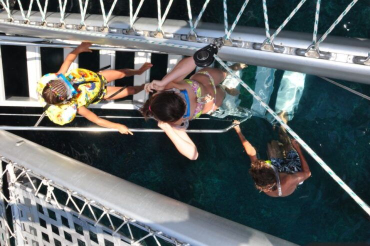 From Roses: Catamaran Cruise Cap Norfeu - Cadaqués - Experience Highlights