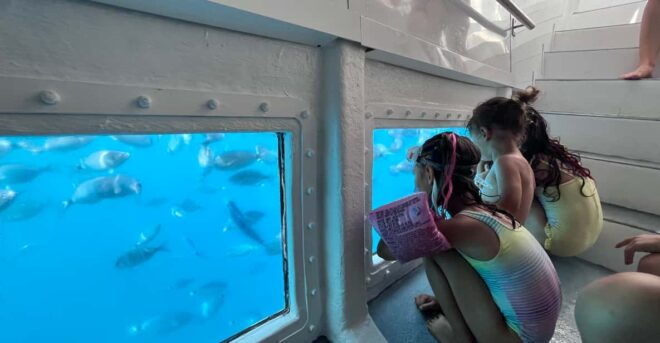 From Roses: Cove Murtra Catamaran Cruise - Accessibility and Child Policy