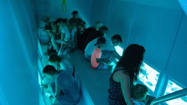 From Roses: Medes Islands Boat Tour With El Estartit Visit - The Sum Up