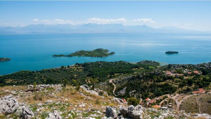 From Roses: Medes Islands Boat Tour With El Estartit Visit - Customer Reviews and Feedback