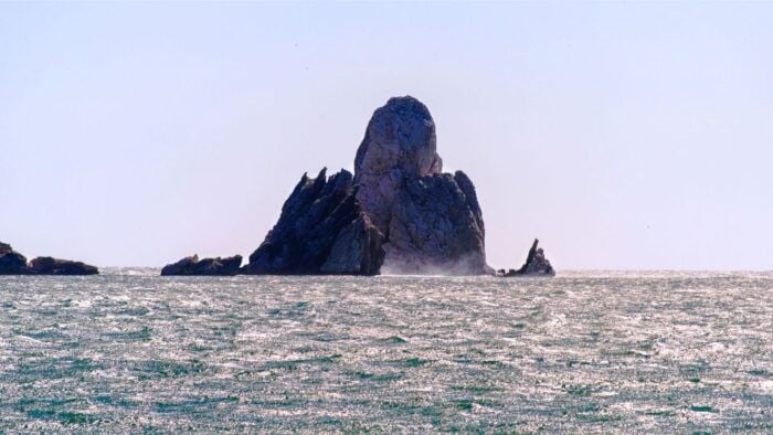 From Roses: Medes Islands Boat Tour With El Estartit Visit - Frequently Asked Questions