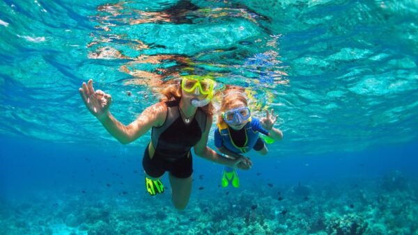 From Roses: Midday Catamaran Tour - Cap De Creus - Frequently Asked Questions