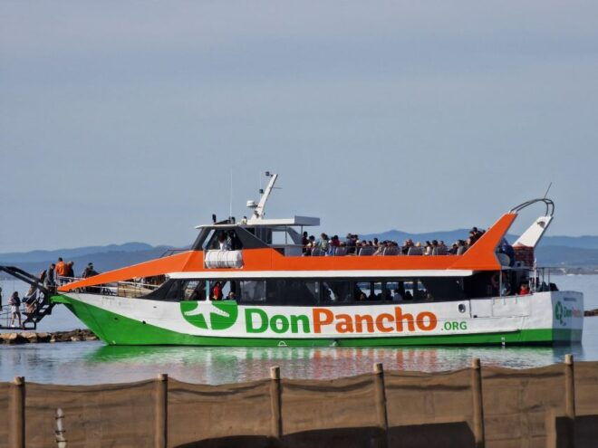 From Roses: Sightseeing Cruise on Costa Brava to Cadaqués - Experience Overview