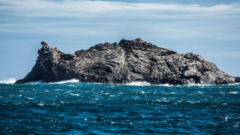 From Roses:Adventure in Cap De Creus: Discover and Swim in a Wild Cove - Discovering the Wonders of Port Lligat and Cadaqués