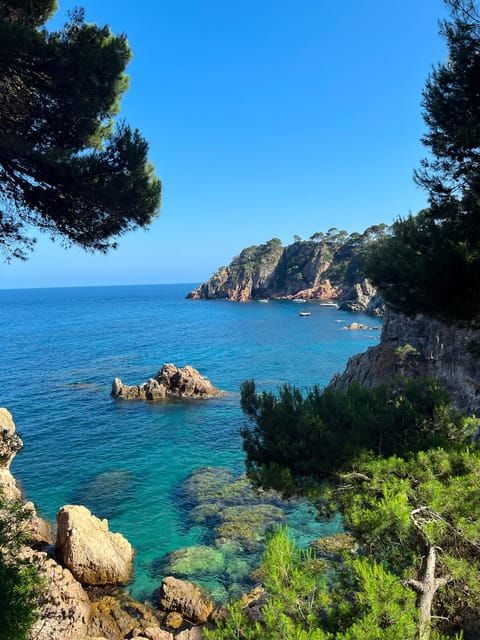 From Roses:Adventure in Cap De Creus: Discover and Swim in a Wild Cove - Frequently Asked Questions