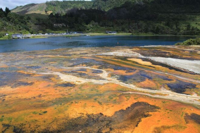 From Rotorua: Lake Taupo & Orakei Korako Geothermal Park - Convenient Transportation and Hotel Pickup