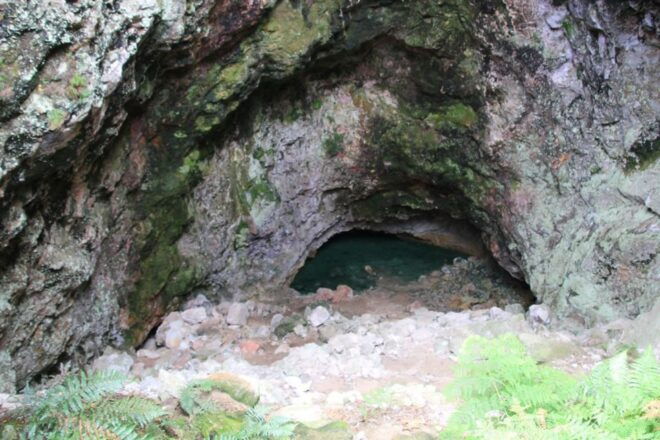 From Rotorua: Lake Taupo & Orakei Korako Geothermal Park - Common Questions