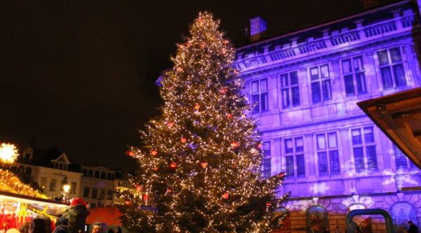 From Rotterdam: Day Trip to Christmas Market Antwerp - Common Questions