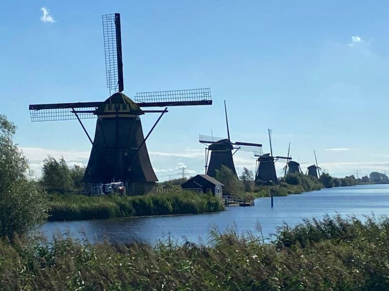 From Rotterdam: Kinderdijk, Delft & The Hague Private Tour - Good To Know