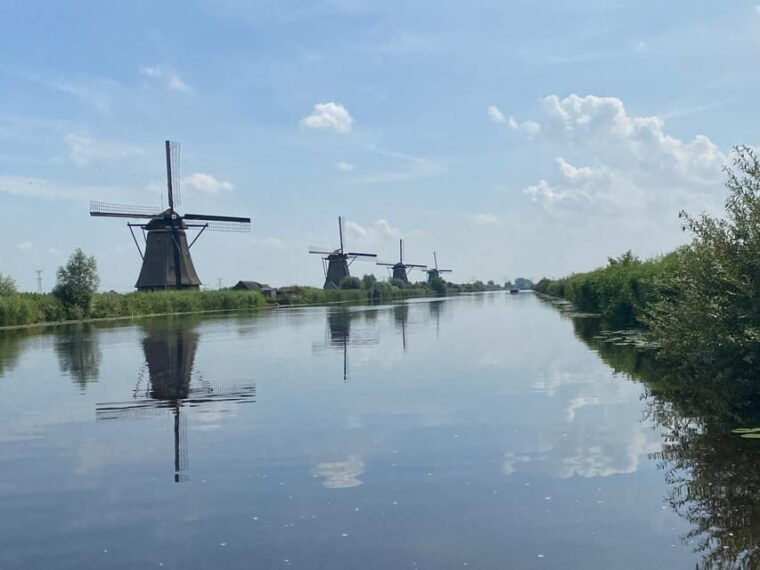 From Rotterdam: Kinderdijk, Delft & The Hague Private Tour - The Hague: Dutch Masters and Artistic Heritage