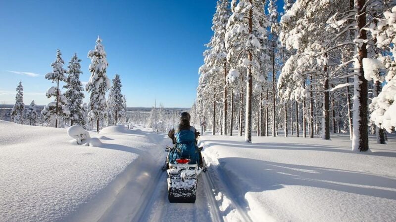 From Rovaniemi: 2-Hour Snowmobile Safari - Good To Know