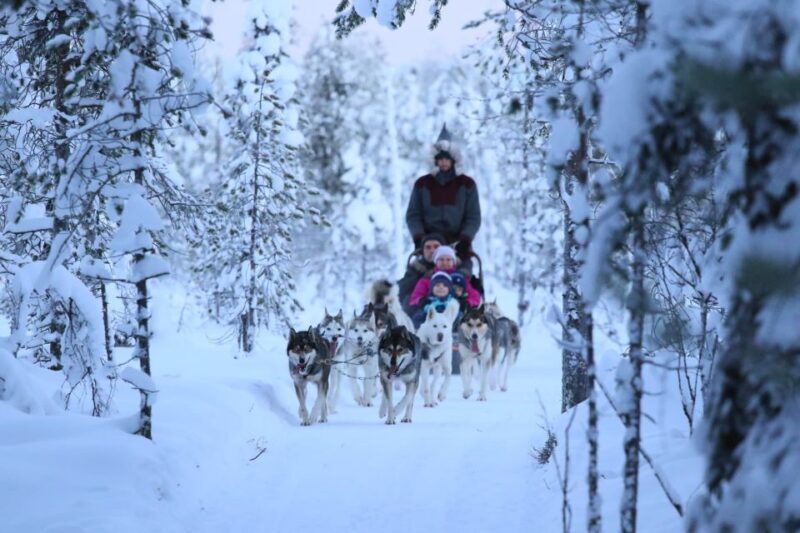From Rovaniemi: 5km passenger Husky Sleigh Ride - Real Traveler Insights: What You Need to Know  