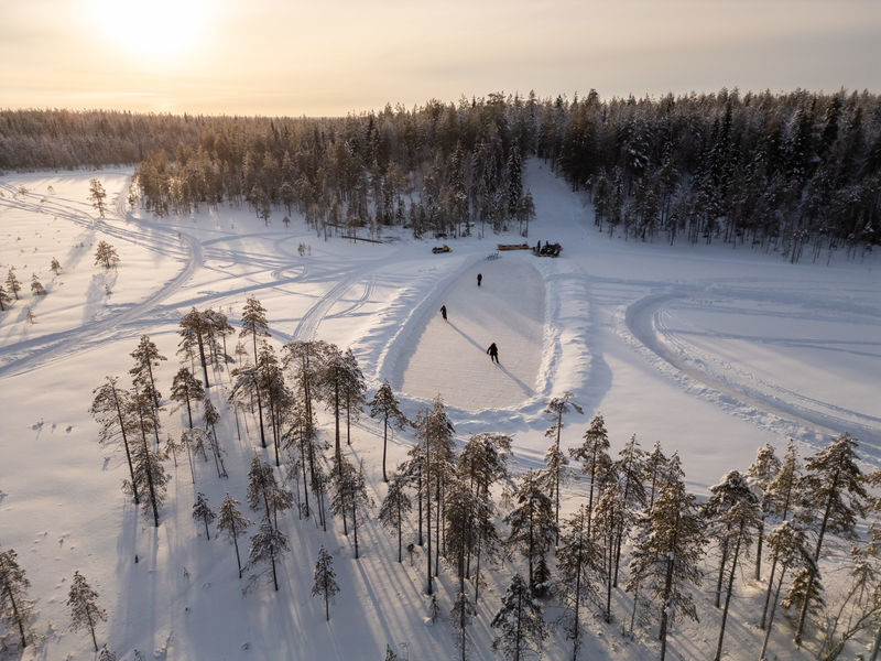From ROvaniemi All Inclusive Lapland Nature Experience In Ranua - The details that matter before you book