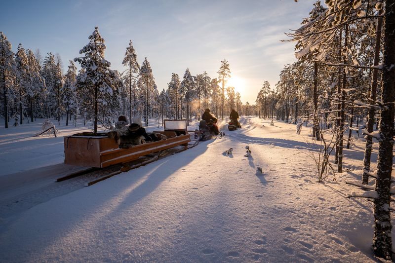 From ROvaniemi All Inclusive Lapland Nature Experience In Ranua - Ranua’s Arctic animals are the main event
