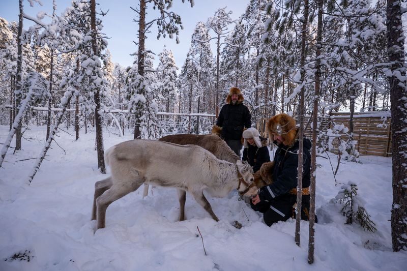 From ROvaniemi All Inclusive Lapland Nature Experience In Ranua - Is the price good value?