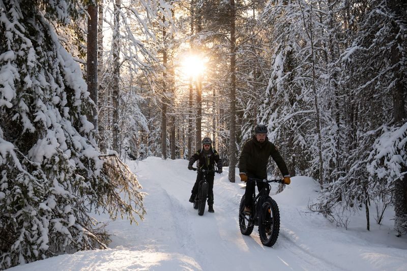 From ROvaniemi All Inclusive Lapland Nature Experience In Ranua - Should you book it?