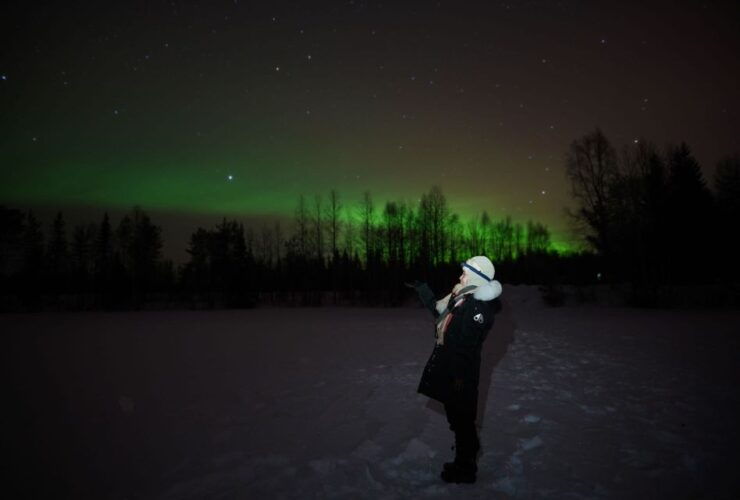 From Rovaniemi: Aurora Dreamscape Tour in the Wild - Booking and Logistics